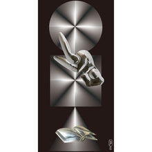 將圖片載入圖庫檢視器 The Universe by藤田隆