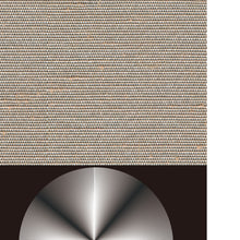 將圖片載入圖庫檢視器 The Universe by藤田隆