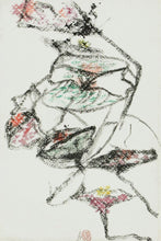 画像をギャラリービューアに読み込む, Fiori aritmetici