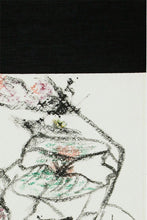 画像をギャラリービューアに読み込む, Fiori aritmetici