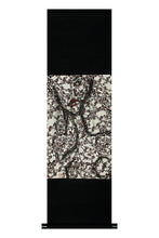 将图片加载到图库查看器,Ricordo