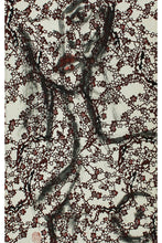 将图片加载到图库查看器,Ricordo