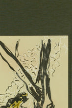 画像をギャラリービューアに読み込む, Natura Creativa