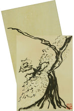 画像をギャラリービューアに読み込む, Proporzioni Naturali