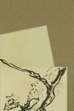 画像をギャラリービューアに読み込む, Proporzioni Naturali