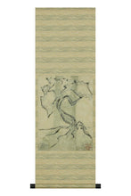 画像をギャラリービューアに読み込む, Albero Sinuoso