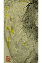 画像をギャラリービューアに読み込む, Nudo in Milano