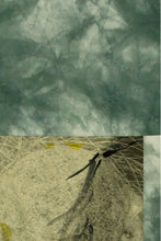 画像をギャラリービューアに読み込む, Nudo in Milano