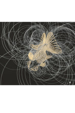 Load image into Gallery viewer, 出目金(金)