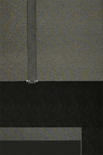 Load image into Gallery viewer, 出目金(金)