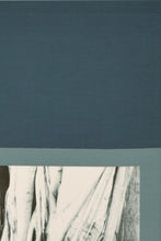 画像をギャラリービューアに読み込む, 日本 by坂本忠敬