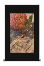 画像をギャラリービューアに読み込む, 四季 byジャコモヴァレンティーニ